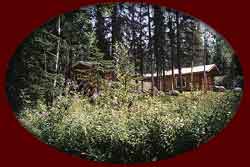 Real Alaskan Cabin rentals in south central Alaska