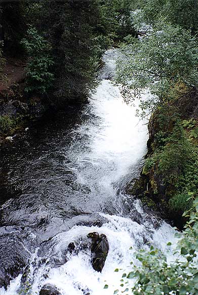 Russian River Falls in Kenai Peninsula Alaska